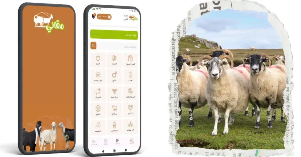 طاعون المجترات الصغيرة